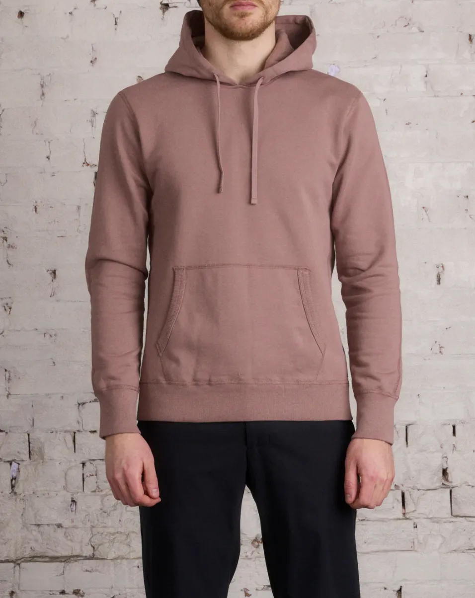 RC - Midweight Terry Pullover Hoodie Desert Rose SS23