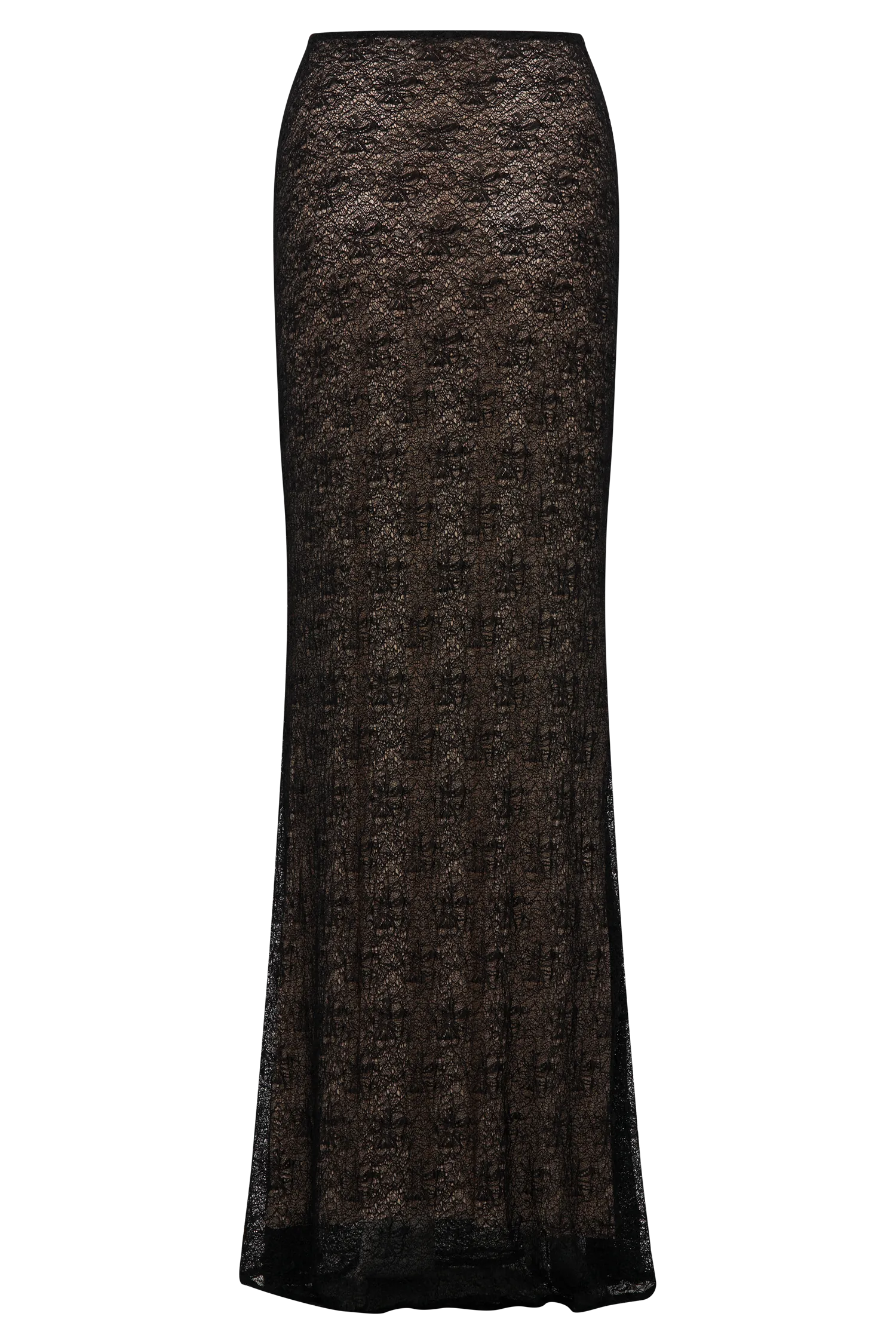 Robyn Sheer Lace Maxi Skirt - Black