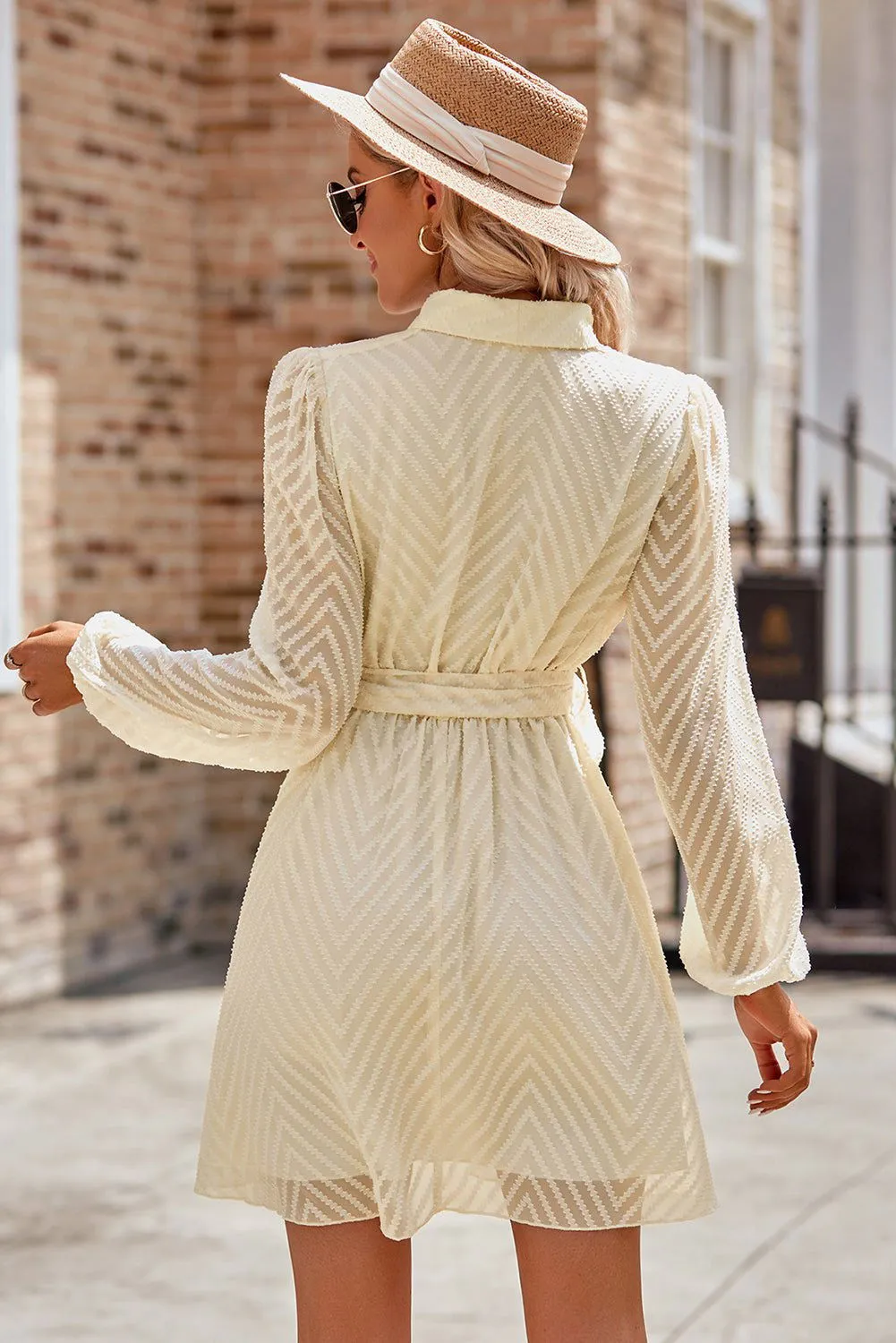 Textured Wrap V Neck Waist Belted Long Sleeve Dress